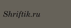 Century Schoolbook Italic 